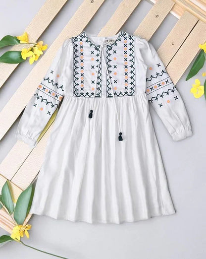 Girls Embroidery Fit and Flare Dress