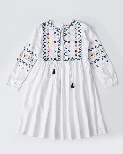 Girls Embroidery Fit and Flare Dress