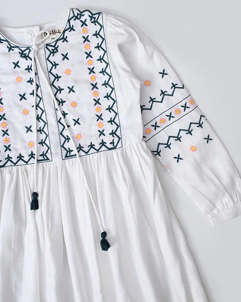 Girls Embroidery Fit and Flare Dress